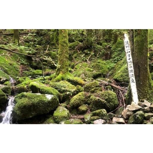 ふるさと納税 水・ミネラルウォーター 1L〜2L 高知県 高知市  3回定期便 モンドセレクション受賞 四万十純天然水 各月2L×6本 計18本 ／ 水 天然水 飲料水 ミ…の画像