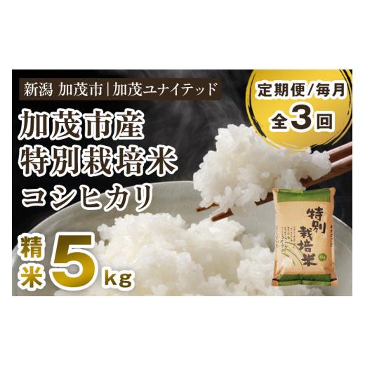 ふるさと納税 米 コシヒカリ 新潟県 加茂市  令和8年産新米先行予約 定期便3ヶ月毎月お届け 加茂市産 特別栽培米 コシヒカリ 精米 5kg 《10月上旬〜順次出荷》…の画像