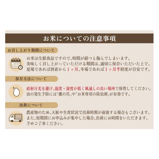ふるさと納税 米 コシヒカリ 新潟県 加茂市  令和8年産新米先行予約 定期便3ヶ月毎月お届け 加茂市産 特別栽培米 コシヒカリ 精米 5kg 《10月上旬〜順次出荷》…の画像