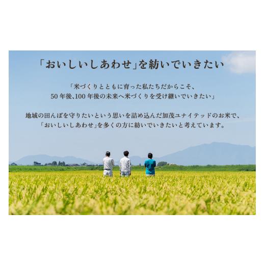 ふるさと納税 米 コシヒカリ 新潟県 加茂市  令和8年産新米先行予約 定期便3ヶ月毎月お届け 加茂市産 特別栽培米 コシヒカリ 精米 5kg 《10月上旬〜順次出荷》…の画像