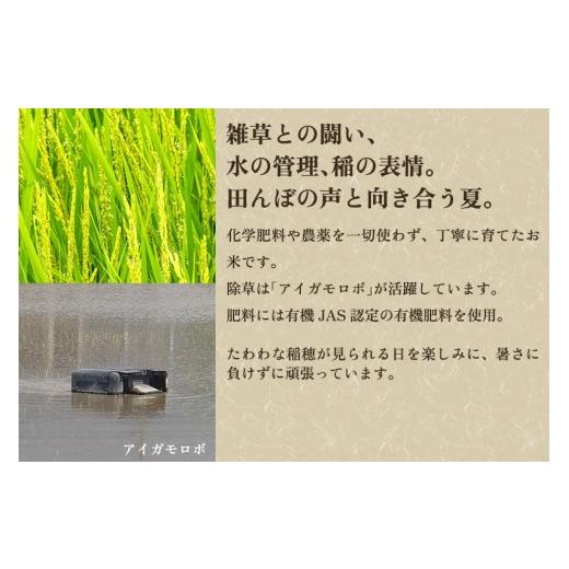 ふるさと納税 米 コシヒカリ 新潟県 加茂市  令和8年産新米先行予約 定期便3ヶ月毎月お届け 加茂市産 特別栽培米 コシヒカリ 精米 5kg 《10月上旬〜順次出荷》…の画像