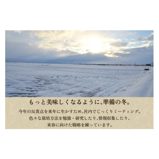 ふるさと納税 米 コシヒカリ 新潟県 加茂市  令和8年産新米先行予約 定期便3ヶ月毎月お届け 加茂市産 特別栽培米 コシヒカリ 精米 5kg 《10月上旬〜順次出荷》…の画像