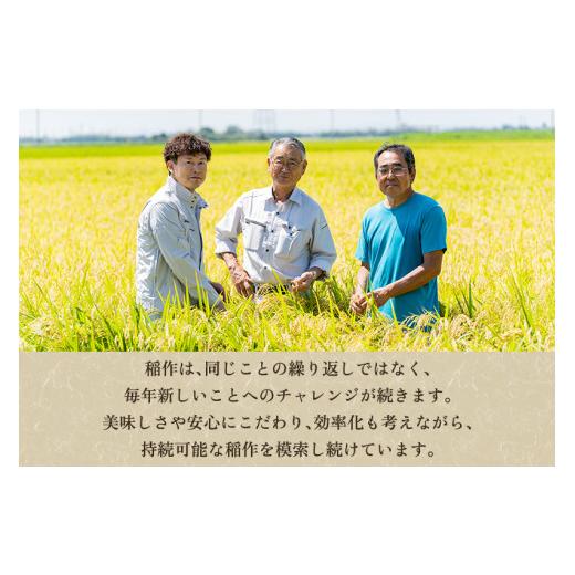 ふるさと納税 米 コシヒカリ 新潟県 加茂市  令和8年産新米先行予約 定期便3ヶ月毎月お届け 加茂市産 特別栽培米 コシヒカリ 精米 5kg 《10月上旬〜順次出荷》…の画像