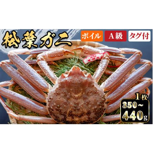 ふるさと納税 カニ 松葉ガニ 鳥取県 境港市 平日着 指定日不可 期間限定 11月中旬〜3月中旬発送予定 松葉ガニ(350〜440g・1枚) sm-DD050-A Workplays 平日着 …
