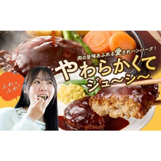 ふるさと納税 惣菜・レトルト 冷凍 福岡県 飯塚市 飯塚市王道ハンバーグセットA 12カ月定期便 J8-004_3