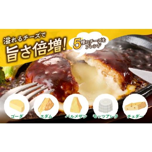 ふるさと納税 惣菜・レトルト 冷凍 福岡県 飯塚市 飯塚市王道ハンバーグセットA 12カ月定期便 J8-004_4