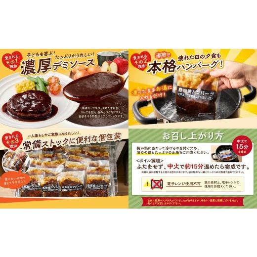 ふるさと納税 惣菜・レトルト 冷凍 福岡県 飯塚市 飯塚市王道ハンバーグセットA 12カ月定期便 J8-004_5