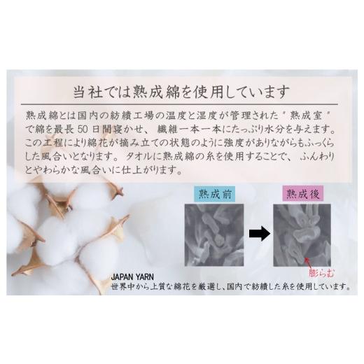 ふるさと納税 タオル・寝具 バスタオル 大阪府 泉佐野市  ホテルタイプ ワイドバスタオル 3枚 ベージュ 大判 約70×130cm 高級 ホテル仕様 日本製 泉州タオル …の画像