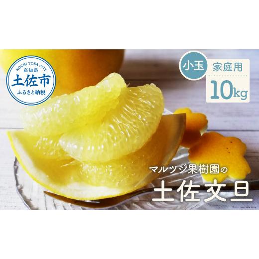 ふるさと納税 みかん・柑橘類 高知県 土佐市 先行予約 マルツジ果樹園の土佐文旦 家庭用(小玉) 約10kg 10キロ M~Lサイズ 24~34個入り[2027年2月1日から3月31…