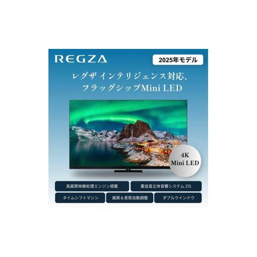 ふるさと納税 TV・オーディオ・カメラ 神奈川県 川崎市 TVS REGZA 標準
