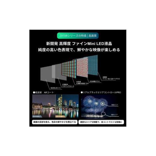 ふるさと納税 TV・オーディオ・カメラ 神奈川県 川崎市 TVS REGZA 標準