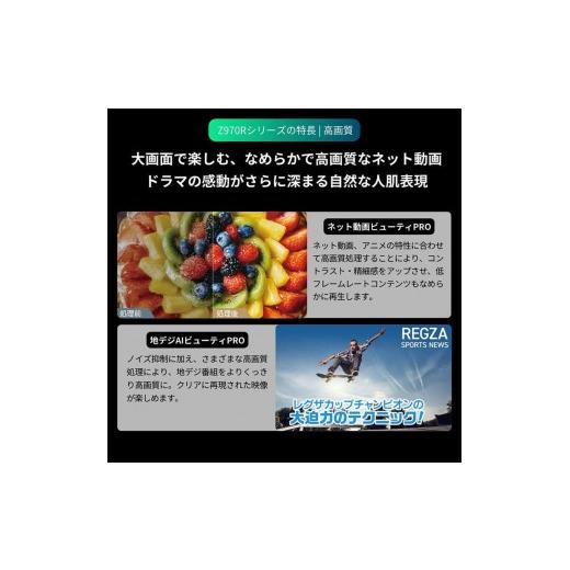 ふるさと納税 TV・オーディオ・カメラ 神奈川県 川崎市 TVS REGZA 標準