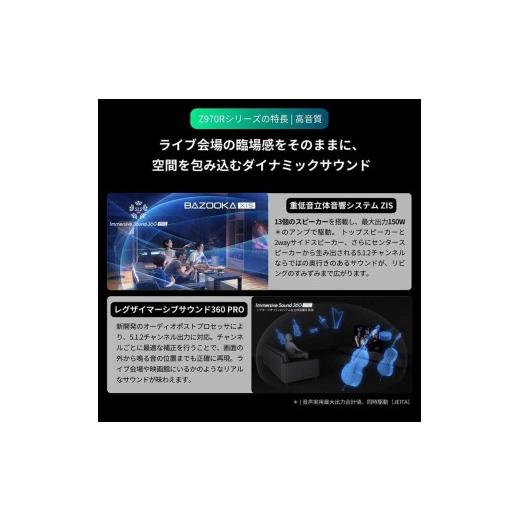 ふるさと納税 TV・オーディオ・カメラ 神奈川県 川崎市 TVS REGZA 標準