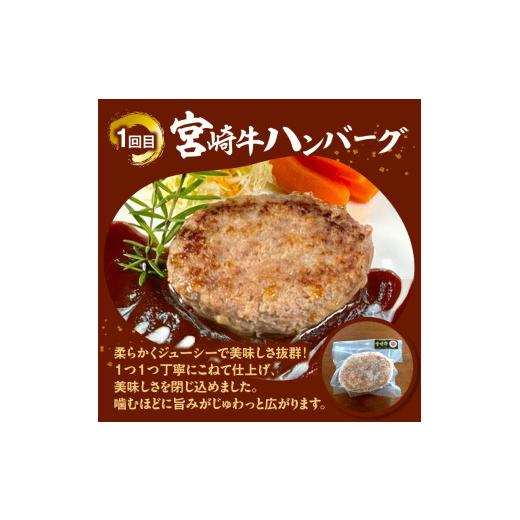 ふるさと納税 ハム・ソーセージ・ハンバーグ 宮崎県 延岡市 3ヶ月定期便 宮崎牛シリーズN124-YF074_3