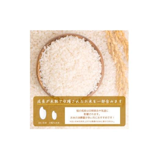 ふるさと納税 米 ブレンド 福岡県 添田町 新米 20kg (5kg×4) 「 精米