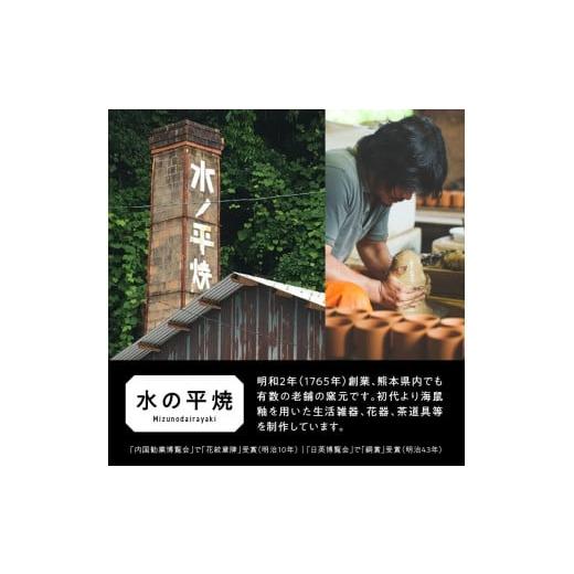 ふるさと納税 食器・グラス 小皿 熊本県 天草市 S045-014_青ナマコ釉　3寸皿×5枚 5枚_6