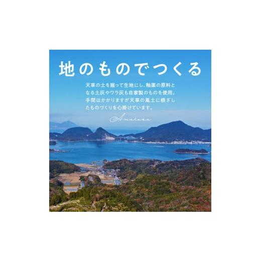 ふるさと納税 食器・グラス 小皿 熊本県 天草市 S045-014_青ナマコ釉　3寸皿×5枚 5枚_7