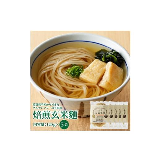 ふるさと納税 麺類 熊本県 天草市 S067-028_特別栽培米からできた焙煎玄米?(120g×5袋) 5袋