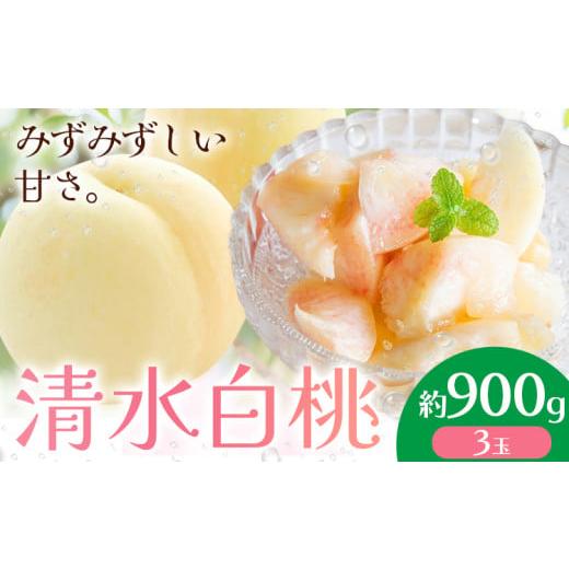 ふるさと納税 もも 岡山県 浅口市 2026年先行予約 清水白桃 約900g もも モモ 岡山 国産 フルーツ 果物 桃茂實苑[2026年7月中旬-8月上旬頃出荷]岡山県 浅口…