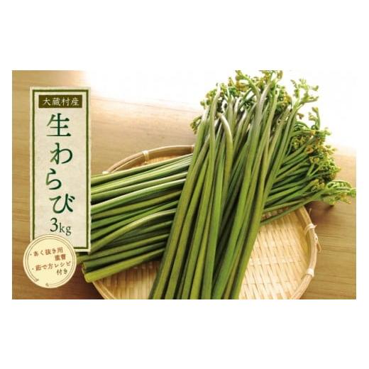 ふるさと納税 野菜類 山菜 山形県 大蔵村 大蔵村産 生わらび3kg