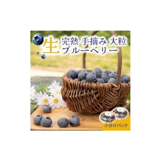 ふるさと納税 果物類 愛知県 美浜町 大粒ブルーベリー品種ミックス 125g×6パック 果物 くだもの フルーツ ヨーグルト ジャム 国産 愛知県産 2026年6月上旬〜8…