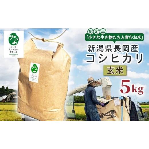 ふるさと納税 米 コシヒカリ 新潟県 長岡市 25-7GC051 玄米 新潟県長岡産コシヒカリ5kg 「小さな生き物たちと育むお米」認証品