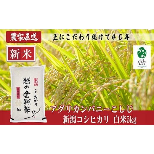ふるさと納税 米 コシヒカリ 新潟県 長岡市 J8-7C051 越の金翔米 新潟県長岡産コシヒカリ5kg 「小さな生き物たちと育むお米」認証品