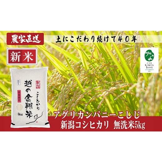 ふるさと納税 米 コシヒカリ 新潟県 長岡市 J8-7MC051 越の金翔米 新潟県長岡産コシヒカリ無洗米5kg 「小さな生き物たちと育むお米」認証品