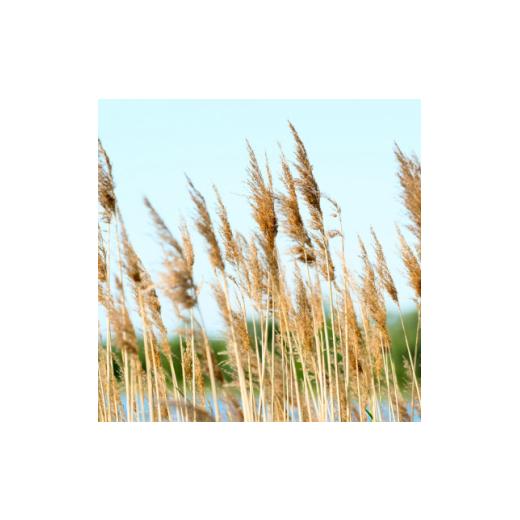 ふるさと納税 ファッション 大阪府 枚方市 マジカル ソックス&レッグウォーマー セット 1588187 |  | 04