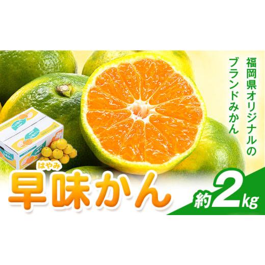 ふるさと納税 果物類 みかん 福岡県 小竹町 みかん 早味かん 約2kg 南国フルーツ株式会社 26年度出荷 [9月中旬-9月下旬頃出荷]福岡県 小竹町 福岡県産 みか…