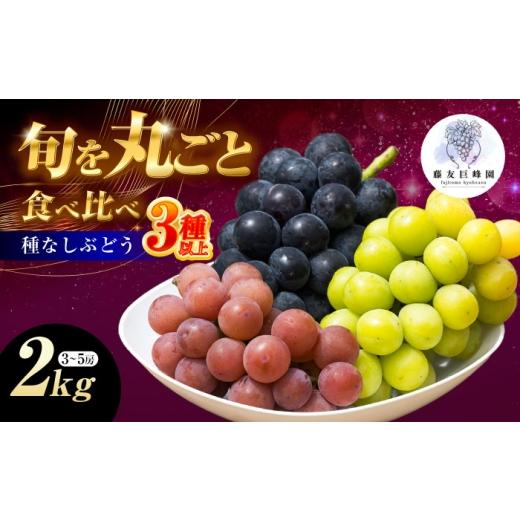 ふるさと納税 果物類 ぶどう 愛媛県 内子町 赤秀 種無しぶどう 食べ比べ セット 3〜5房 2kg / ぶどう ブドウ 葡萄 果物 フルーツ 国産 産地直送 農家直送 愛…