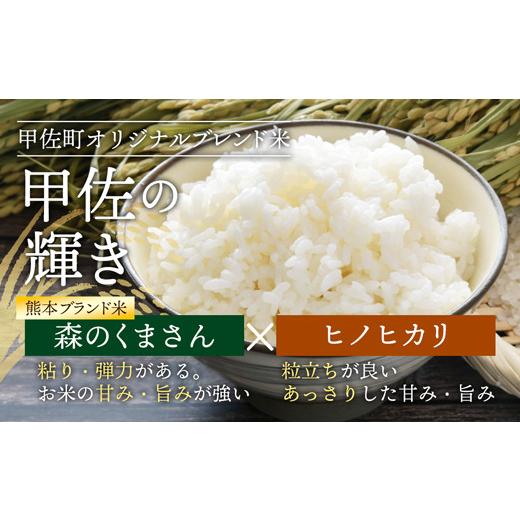 甲佐の輝き 精米16kg（5kg×2袋、6kg×1袋） お米 【公式通販】