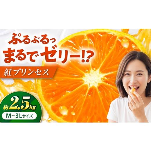 ふるさと納税 みかん・柑橘類 オレンジ 愛媛県 砥部町 紅プリンセス 愛果48号 2.5kg M-3Lサイズ 3月中旬から3月下旬まで順次発送 / フルーツ 果物 蜜柑 ミカ…