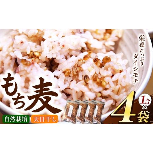 ふるさと納税 雑穀 千葉県 君津市 もち麦 ( ダイシモチ ) 4袋 セット( 1合 × 4袋) 無農薬 無肥料 自然栽培 天日干し | ののま自然農園 もちむぎ 古代米 雑…
