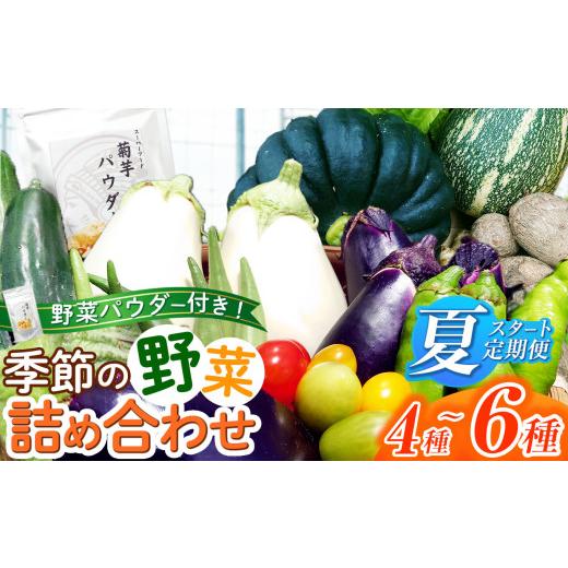 ふるさと納税 セット・詰合せ 千葉県 君津市 先行予約 定期便 2回・夏 スタート ＼ 選べる 発送時期 / 季節の野菜 & 季節の野菜 パウダー 詰め合せセット 農…