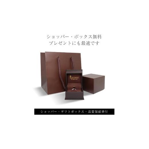 ふるさと納税 アクセサリー ペンダント 山梨県 昭和町 K18YG ダイヤモンド 0.27ct ホースペンダント KP-262 SWBO001_7