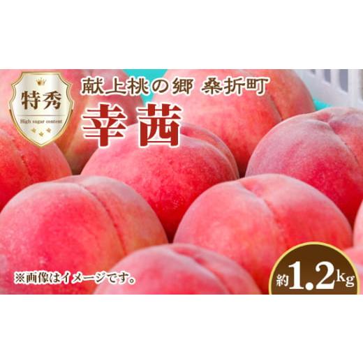 ふるさと納税 もも 福島県 桑折町 もも 幸茜・2026年産先行受付 特秀1.2kg 桑折町産 JAふくしま未来 桃 / もも モモ 果物 フルーツ 旬 甘い 甘み ジューシ…
