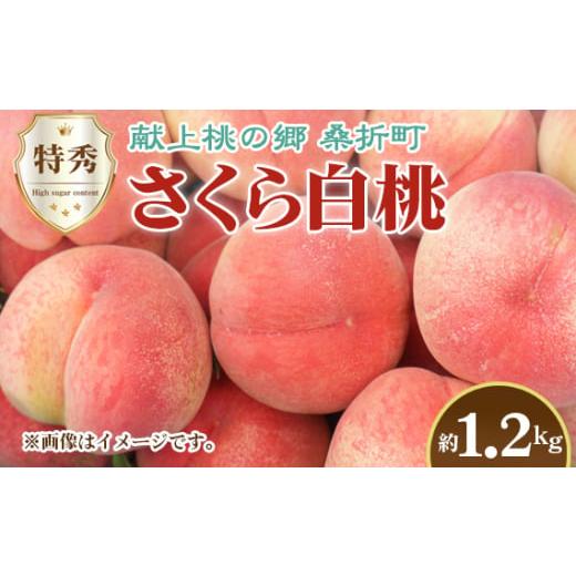 ふるさと納税 もも 福島県 桑折町 もも さくら白桃・2026年産先行受付 特秀1.2kg 桑折町産 JAふくしま未来 桃 / もも モモ 果物 フルーツ 旬 甘い 甘み ジ…