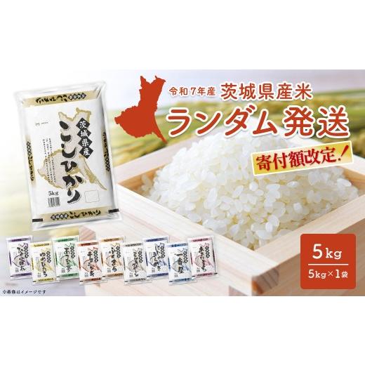 ふるさと納税 米 コシヒカリ 茨城県 境町 ランダム 5kg [令和8年6月内発送] 茨城県産 令和7年産/白米 米 精米 小分け 2025年産 K2464 令和7年産 令和8年6月…