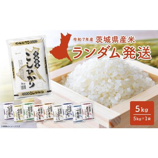 ふるさと納税 米 コシヒカリ 茨城県 境町 ランダム 5kg [令和8年7月内-8月上旬発送] 茨城県産 米 精米 小分け 2025年産 令和7年産/白米 K2464 令和7年産 令…