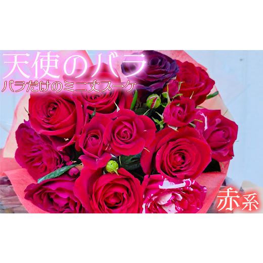 ふるさと納税 花・苗木 花束 大分県 杵築市 天使のバラ 薔薇だけのミニ丈ブーケ(赤系) 141-004_6 赤系
