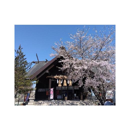ふるさと納税 コーヒー ドリップ 北海道 小樽市 小樽珈琲香房　開運珈琲セット（全5種×6個）_7