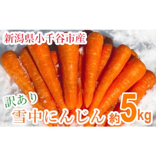 ふるさと納税 野菜類 人参 新潟県 小千谷市 訳あり にんじん 産地直送 雪中にんじん ひとみ五寸人参 約5kg K-farm | にんじん 人参 ニンジン キャロット 野菜…