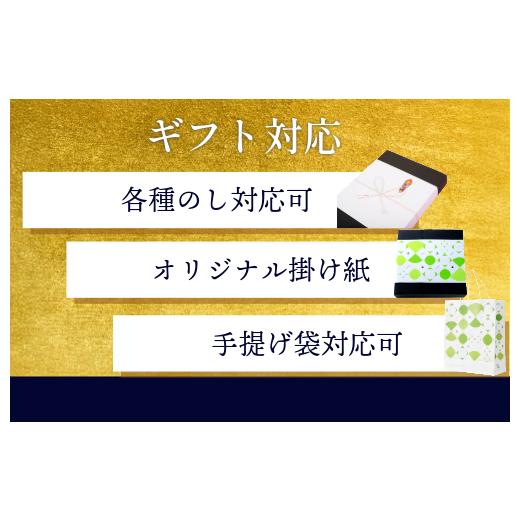 ふるさと納税 モツ鍋 福岡県 宮若市 『竹千寿 博多もつ鍋』醤油 もつ鍋 2人前 M461-1 | 国産黒毛和牛小腸 和牛 1袋 博多 食い道楽 差し上げ物 差し上げ物 お取り寄せ 冷…
