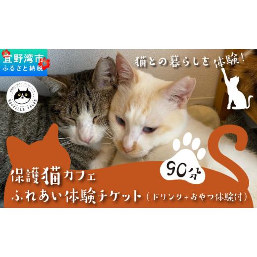 ふるさと納税 体験チケット 沖縄県 宜野湾市 沖縄県 宜野湾市 沖縄保護猫カフェふれあい体験120分ペアチケット(ドリンク+おやつ体験付) | ねこ 応援 | 保護猫…_1