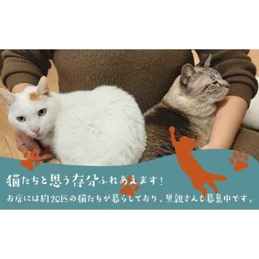 ふるさと納税 体験チケット 沖縄県 宜野湾市 沖縄県 宜野湾市 沖縄保護猫カフェふれあい体験120分ペアチケット(ドリンク+おやつ体験付) | ねこ 応援 | 保護猫…_3