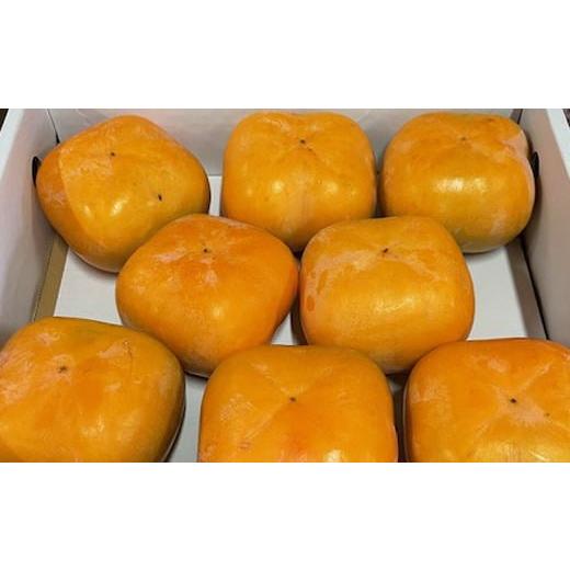 ふるさと納税 果物類 柿 和歌山県 紀美野町 2026年秋・発送分 大玉サイズ 平たねなし柿「クイーンパーシモン」約4kg (10玉〜12玉おまかせ) 2026年10月中旬…