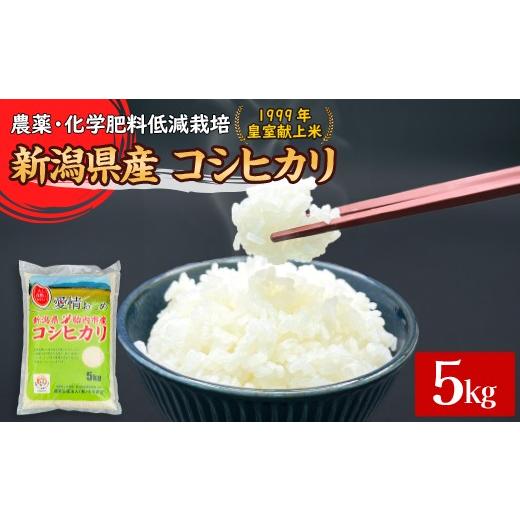ふるさと納税 米 コシヒカリ 新潟県 胎内市 16-K51新潟県胎内市産コシヒカリ5kg