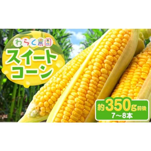 ふるさと納税 とうもろこし 熊本県 津奈木町 先行予約 スイートコーン 7〜8本 350g前後 わらく農園[2026年6月上旬-6月末頃出荷]熊本県 葦北郡 津奈木町 と…