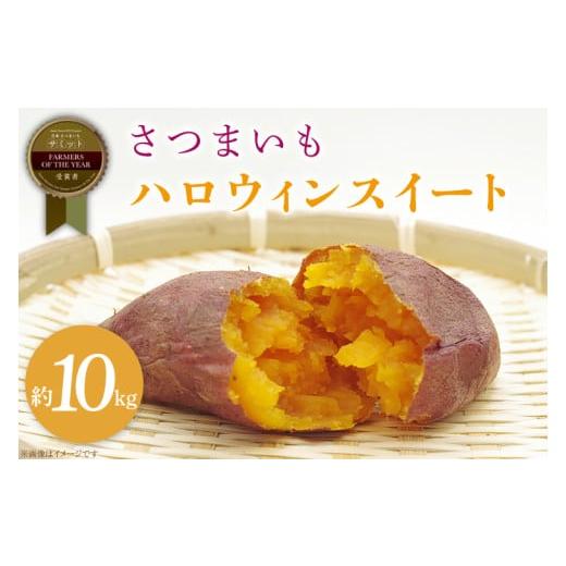 ふるさと納税 野菜類 サツマイモ 茨城県 行方市 2025年11月より順次発送 2025年度産 さつまいも ハロウィンスイート 約10kg|さつまいも 芋 お芋 ハロウィン…
